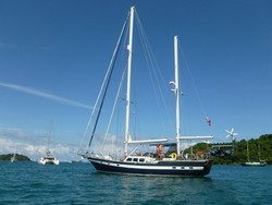 33 Joy of Shamrock Bay