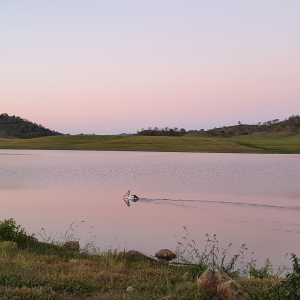 218-Split Rock Dam-RR