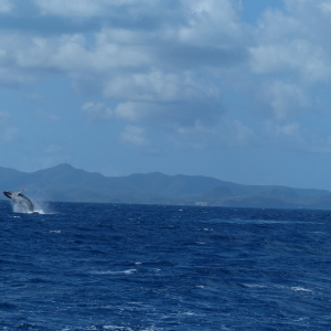 54-kein-1-Aprilscherz