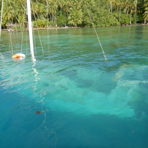 176-Dingiausflug-Bora-Bora