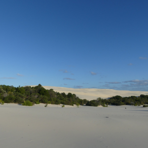 404-Moreton-Island