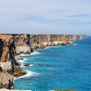 419-Balladonia-bis Eucla