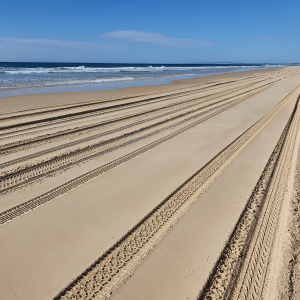 301-Fraser-Island