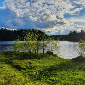 222-Tiveden_Nationalpark