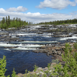 447-Trappstegsforsen