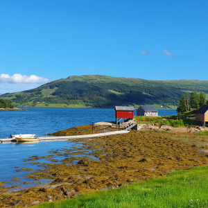 405-Kvitneset_Camping