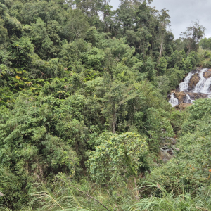 142-Fahrt-nach-Mang-Den