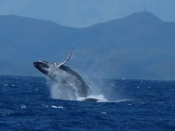 Guadeloupe-Antigua-Barbuda-Guadeloupe